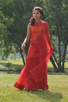 Mona Saree Photos